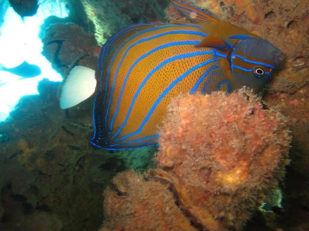 Ombak Dive Resort Pulau Perhentian Kecil Exterior photo